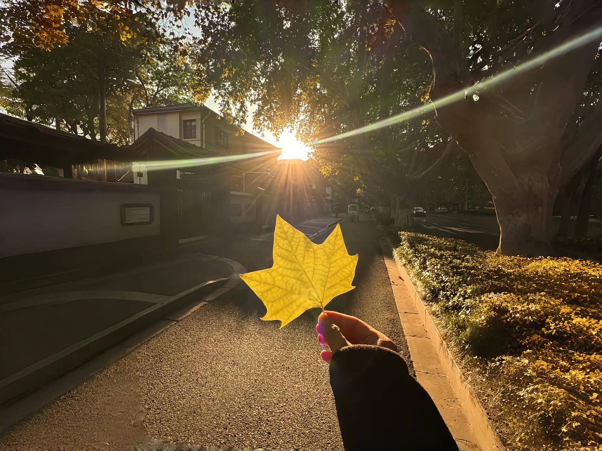 Windows 下 CLI 工具中文乱码问题终极指南