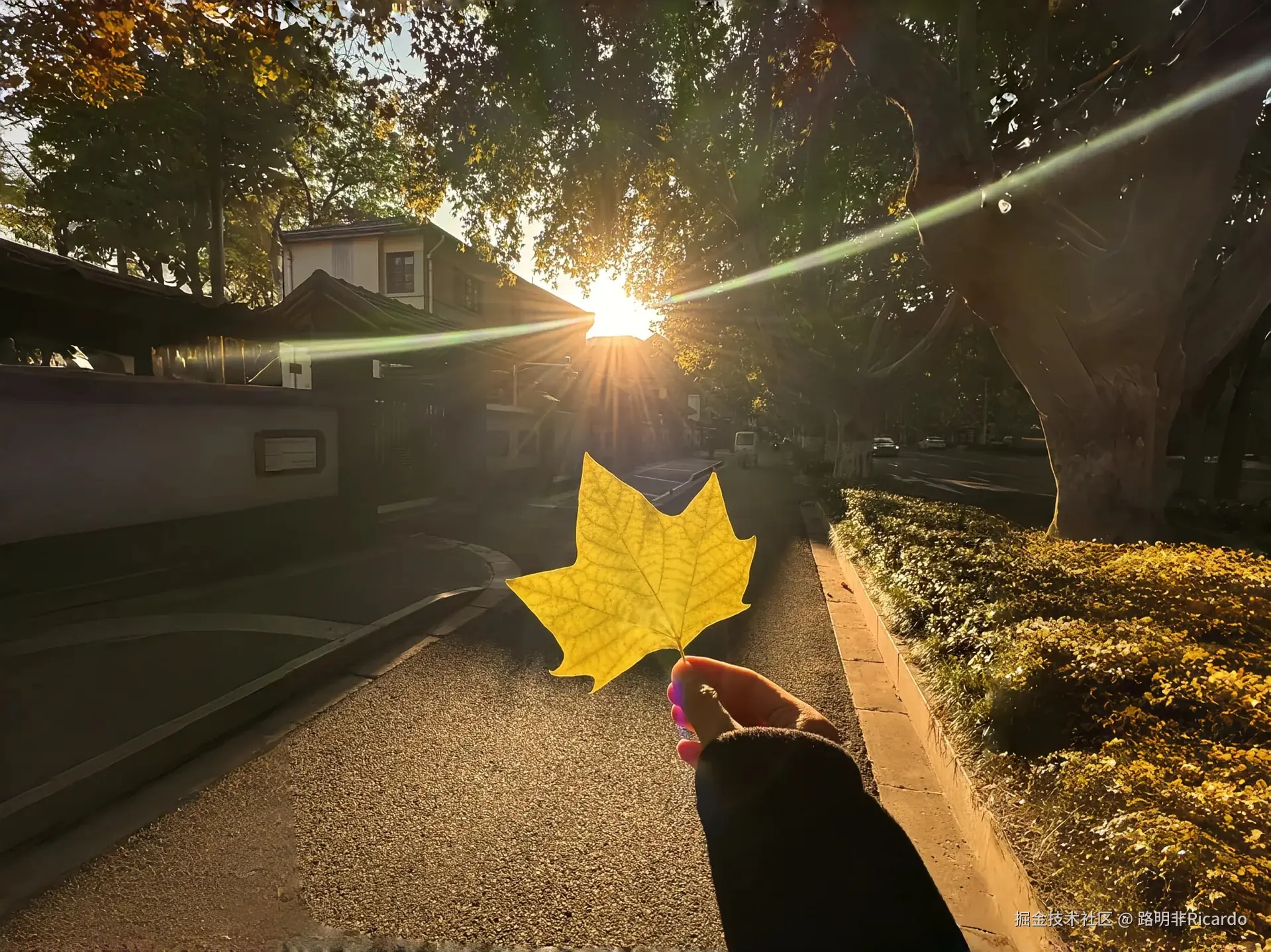 【新手必看】滑动窗口秒杀“长度最小的子数组”——LeetCode 209题全解析!